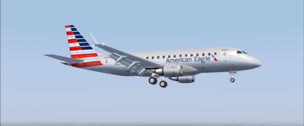 American Eagle S Fsx